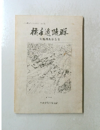 横手遺跡群　発掘調査報告書