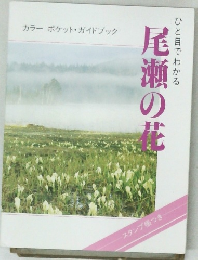 ひと目でわかる 尾瀬の花