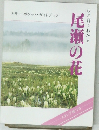 ひと目でわかる 尾瀬の花