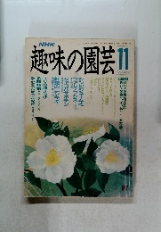 趣味の園芸11　1989