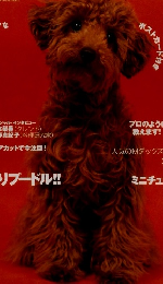 DOG FAMILY  平成14年3月号