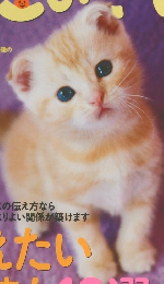 ねこのきもち　2014年10月号