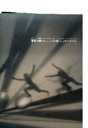 画家の眼差し、レンズの眼 近代日本の写真と絵画