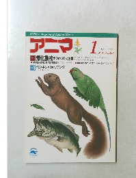 アニマ　1990年1月　No.208