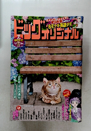ビッッグオリジナル 2024年7月号