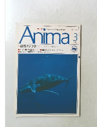Anima 3 No.222