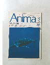 Anima 3 No.222
