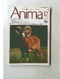 Anima 1990年12月