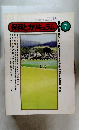 保育とカリキュラム 1980年7月号