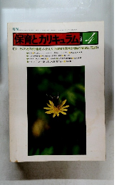 保育とカリキュラム　１９８１年４月号