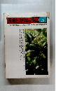 保育とカリキュラム　1861年5月号
