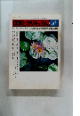 保育とカリキュラム　1981年8月