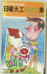 日曜大工ひびけ集