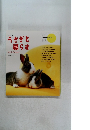 うさぎと暮らす　2001年8月1日発行