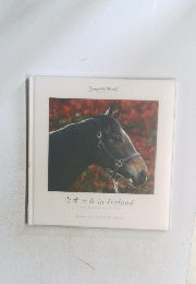 ウオッカ　in　Ireland　