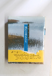 流れる水も人も　　日本の自然と美水・風