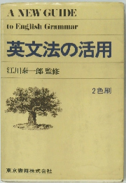英文法の活用