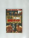  大相撲  観戦ガイド　1993年2月