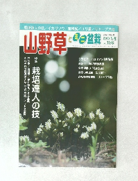 山野草とミニ盆栽　2018早春