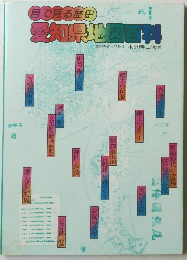 目で見る歴史　愛知県地図百科