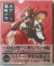東方画報 幻奏弐　　TOUHOU  PROJECT  TRIBUTE  ARTS 2