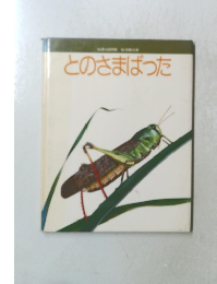 とのさまばった