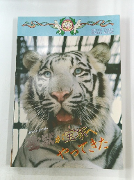 WHITE TIGER  GUIDE BOOK
