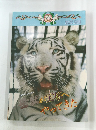 WHITE TIGER  GUIDE BOOK