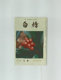 白鳩　　一月号
