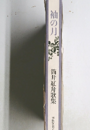袖の月　筒井紅舟歌集