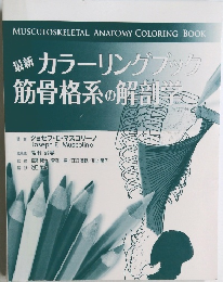最新 カラーリングブック筋骨格系の解剖学