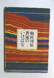 勅使河原蒼風のいけばな　1