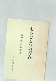 もうひとつの青春
