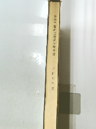 中の平遺跡発掘調査報告書