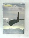 SOARING　1984年1月号