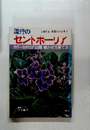 流行のセントポーリア