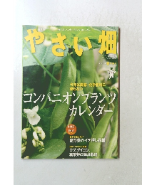 やさい畑　2013年春