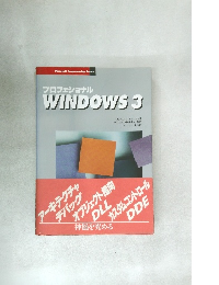 プロフェショナル  WINDOWS 3