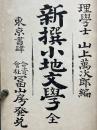 新撰小地文學