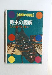 昆虫の図解