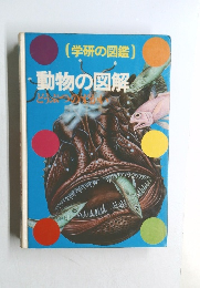 動物の図解