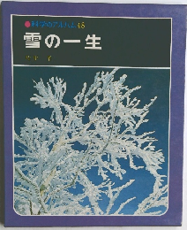 科学のアルバム　48  雪の一生