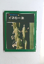 科学のアルバム　26　イネの一生
