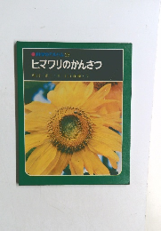 科学のアルバム25  ヒマワリのかんさつ