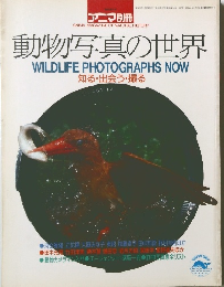 動物写真の世界