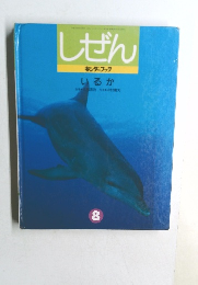 しぜん　キンダーブック  いるか　8月号