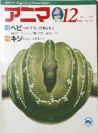 アニマ1998年12月号