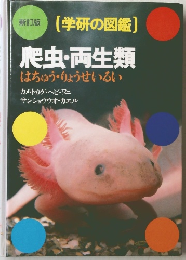 爬虫・両生類  はちゅう・りょうせいるい