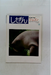 しぜん  キンダーブック  ジュゴン　11