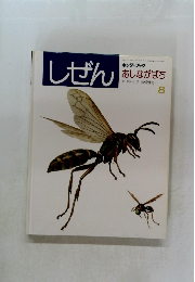 しぜん  キンダーブック  あしながばち　8